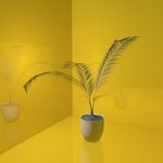 花草模型 花盆模型 绿叶 植物