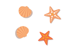 海星贝壳矢量图