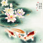 荷花年年有余