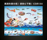 海鲜生鲜活海鲜