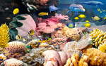 海底世界3D电视背景墙