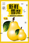 雪梨