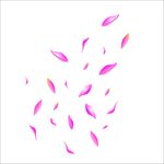 花瓣