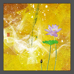 荷花屏风画