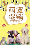 宠物 宠物之家 狗粮 狗狗 宠