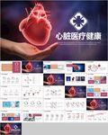 心脏健康心脏医疗医学解剖研究