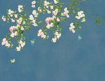 中式玉兰花鸟背景墙