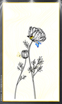 植物挂画