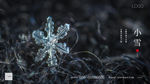 小雪