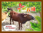 黄牛海报