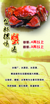 大闸蟹 大闸蟹展板 大闸蟹海报