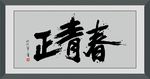 正青春