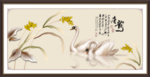 白天鹅