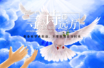 诗与远方海报
