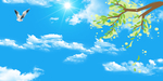 天空