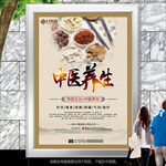 中医养生法海报展板展架灯箱单页