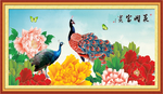 孔雀