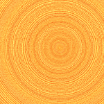 木纹