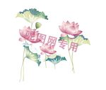 矢量荷花