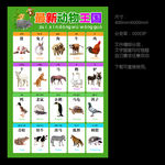 动物大全