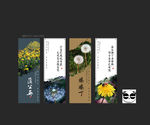 蒲公英