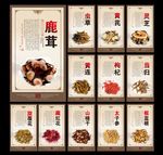中药材