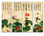 国画荷花