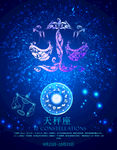 12星座