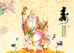 老寿星
