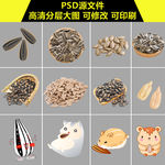 瓜子素材