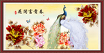 牡丹 孔雀