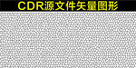 龟裂纹