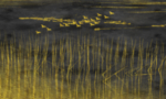 抽象油画
