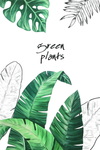 植物叶子组合