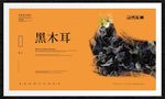 黑木耳