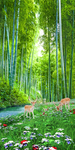 竹林小溪风景玄关图片