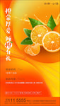 脐橙免费送