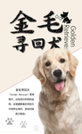 狗狗海报