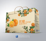 橙子包装