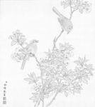 余稚花鸟图册白描底稿工笔画海棠