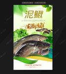 泥鳅