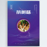 茶树菇
