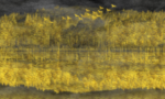 抽象油画
