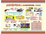 包虫病五能