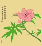 花 木棉花 字 叶子 硅藻泥