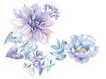 手绘花
