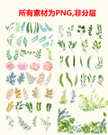 手绘花卉树叶