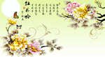 牡丹