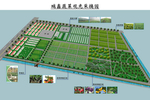蔬菜观光采摘园