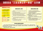 三自主两公开一承诺